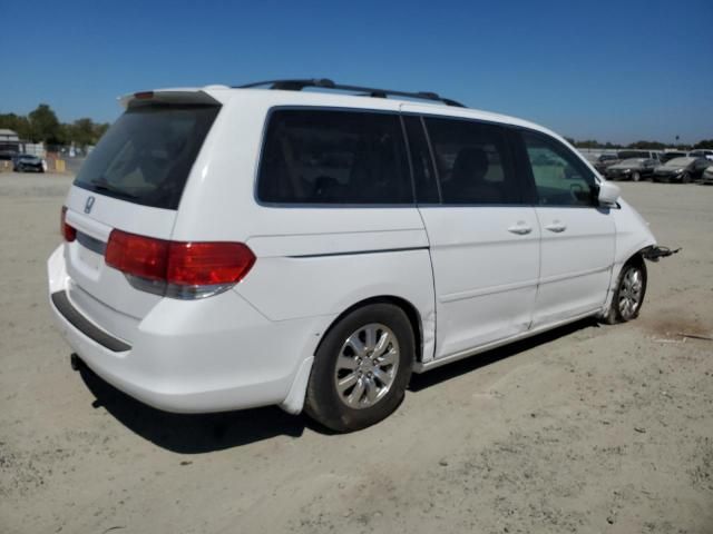 2010 Honda Odyssey EXL