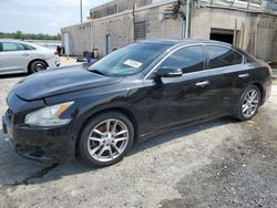 Salvage cars for sale at Fredericksburg, VA auction: 2010 Nissan Maxima S