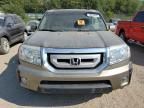 2010 Honda Pilot EXL