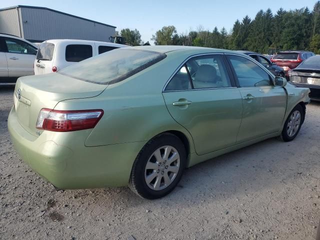 2009 Toyota Camry Hybrid