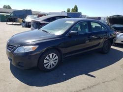 Toyota salvage cars for sale: 2010 Toyota Camry Base