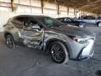 2024 Lexus NX 350 Luxury