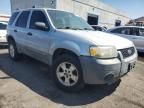 2005 Ford Escape XLT