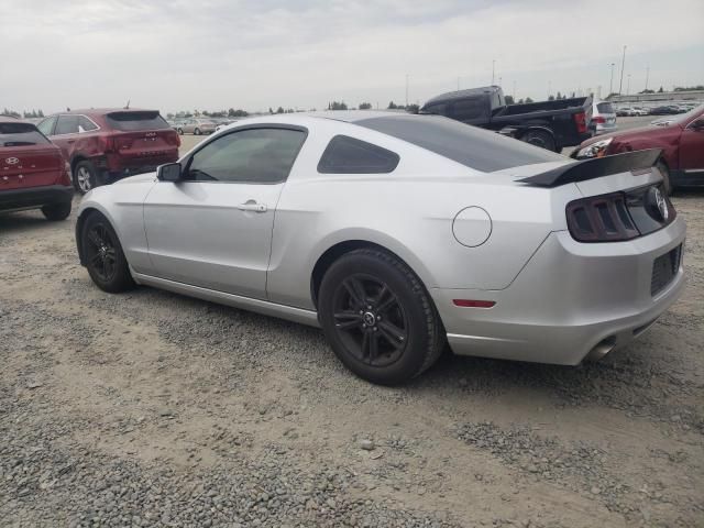 2013 Ford Mustang