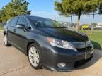 2010 Lexus HS 250H