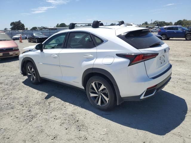 2021 Lexus NX 300H Base