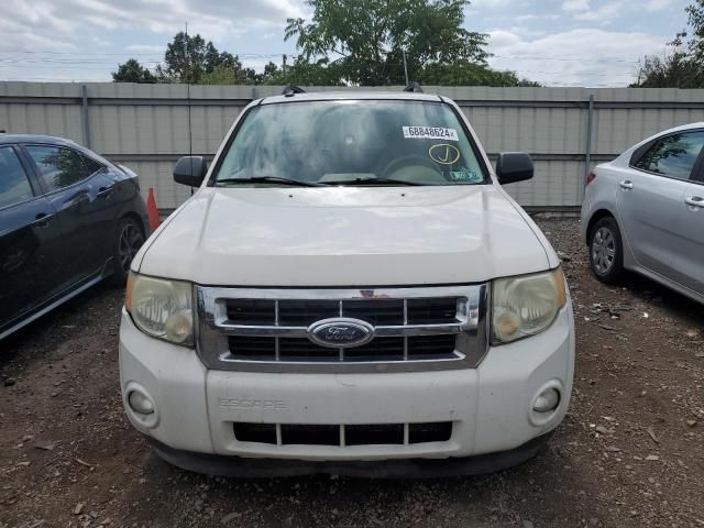 2009 Ford Escape XLT