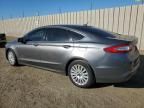 2013 Ford Fusion SE Phev