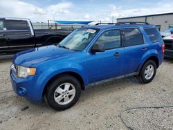 Salvage cars for sale from Copart Arcadia, FL: 2012 Ford Escape XLT