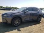 2023 Lexus NX 350