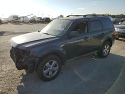 Salvage cars for sale at Indianapolis, IN auction: 2009 Ford Escape XLT