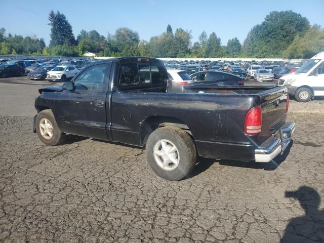 2000 Dodge Dakota