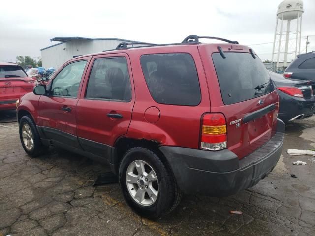 2005 Ford Escape XLT