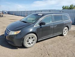 Honda salvage cars for sale: 2011 Honda Odyssey EXL