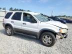 2004 Ford Escape XLT