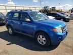 2011 Ford Escape XLS