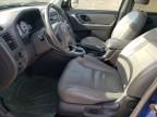 2007 Ford Escape XLT