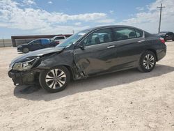 Salvage cars for sale at Andrews, TX auction: 2014 Honda Accord LX