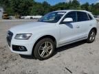 2014 Audi Q5 TDI Premium Plus