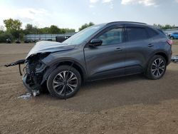 Salvage cars for sale at Columbia Station, OH auction: 2022 Ford Escape SE