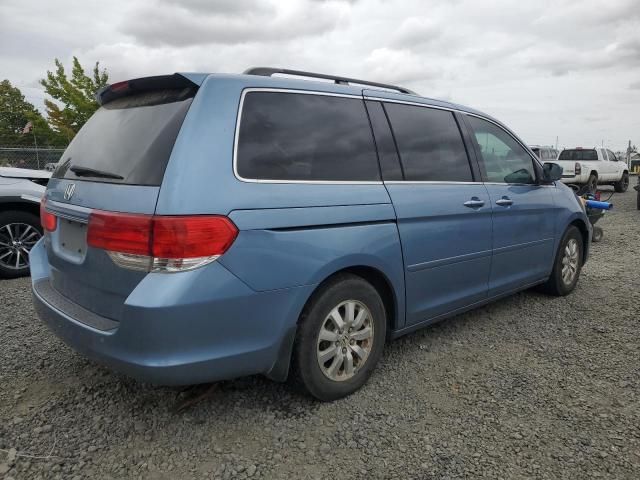 2008 Honda Odyssey EXL