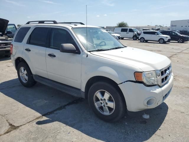 2009 Ford Escape XLT