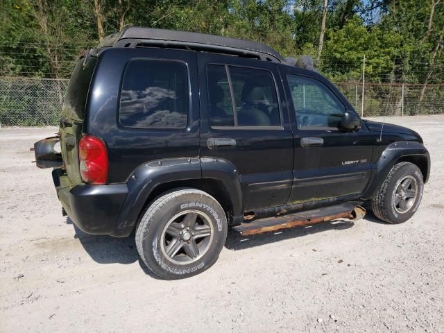 2003 Jeep Liberty Renegade