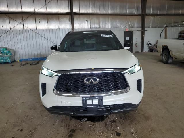 2023 Infiniti QX60 Autograph