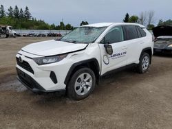 Salvage cars for sale from Copart Ontario Auction, ON: 2023 Toyota Rav4 LE