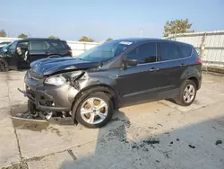 Salvage cars for sale at Walton, KY auction: 2016 Ford Escape SE