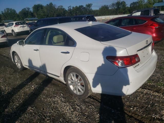 2010 Lexus ES 350