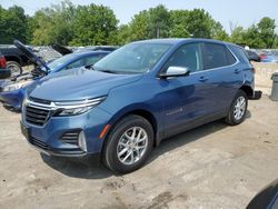 Salvage cars for sale at Marlboro, NY auction: 2024 Chevrolet Equinox LT