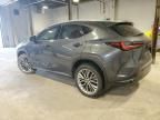 2022 Lexus NX 350H