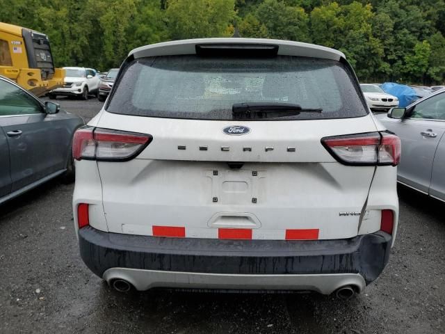 2020 Ford Escape S