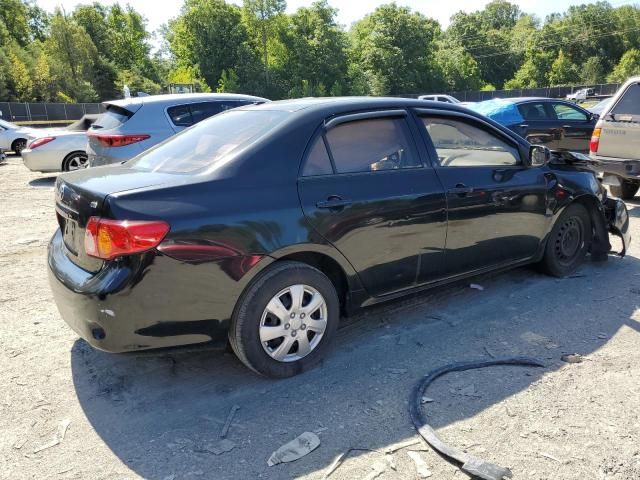 2010 Toyota Corolla Base