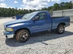 2004 Dodge RAM 1500 ST