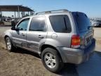 2007 Ford Escape HEV