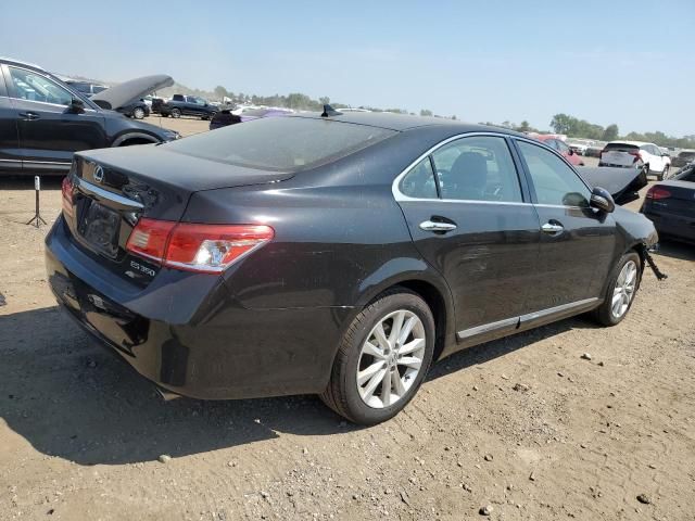 2011 Lexus ES 350