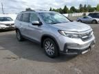 2019 Honda Pilot EXL