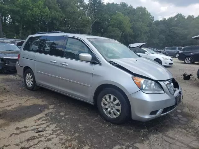 2010 Honda Odyssey EXL