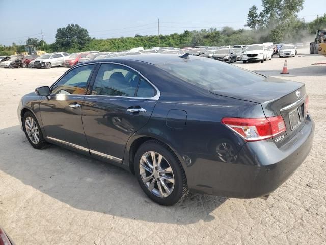 2010 Lexus ES 350