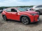 2020 Lexus UX 250H