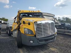 Salvage trucks for sale at Fredericksburg, VA auction: 2018 Freightliner Cascadia 113