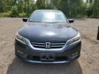 2015 Honda Accord Touring