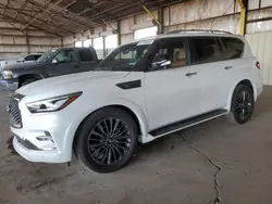 Salvage cars for sale at Phoenix, AZ auction: 2024 Infiniti QX80 Sensory