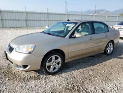 Chevrolet salvage cars for sale: 2007 Chevrolet Malibu LTZ