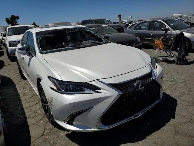 2022 Lexus ES 300H Base