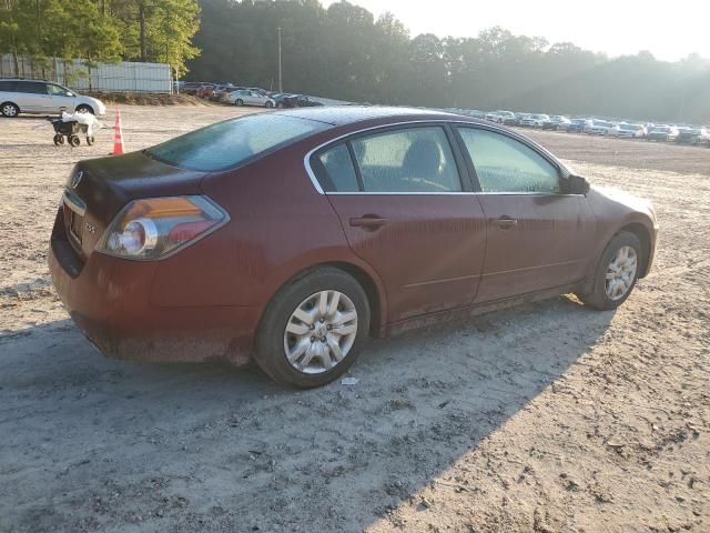 2010 Nissan Altima Base