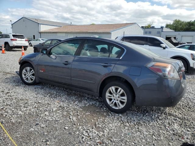 2010 Nissan Altima Hybrid