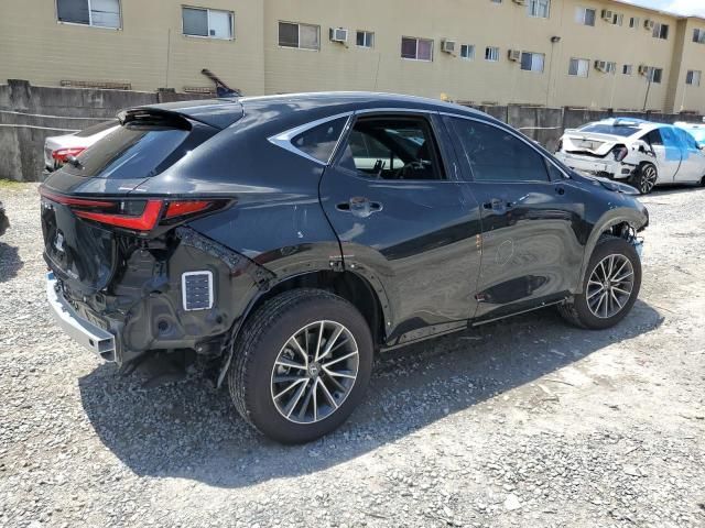 2024 Lexus NX 250 Premium